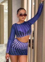 Spring Sexy Dot Print Mesh Long Sleeve Crop Top And Skirt Wholesale Women'S Two Piece Sets