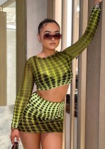 Spring Sexy Dot Print Mesh Long Sleeve Crop Top And Skirt Wholesale Women'S Two Piece Sets