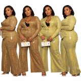 Women Spring Brown Sequins Blouse and Pants Plus Size Two Piece Suit