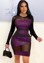 Women Spring Purple Patch Mesh Long Sleeve Sexy Party Dress