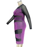 Women Spring Purple Patch Mesh Long Sleeve Sexy Plus Size Party Dress