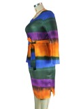 Women Spring Multi-color Side Slit Long Sleeve Knit Plus Size Midi Dress