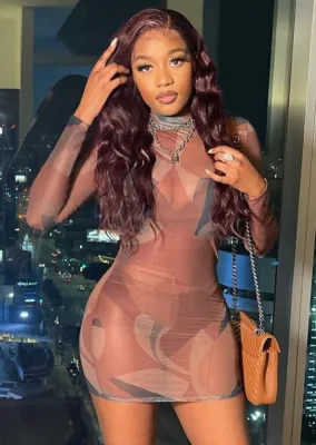Spring Women Sexy Brown Printed High Neck Long Sleeve Slim Bodycon Dress