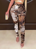 Spring Women Sexy Brown Snake Printed High Waist Slim Fit Leggings