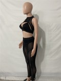 Summer Sexy Black See Through Sleeveless Cut Out Crop Top And Pant Wholesale Two Piece Sets