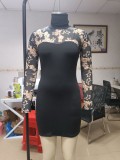 Spring Elegant Black Sqeuins Mesh Long Sleeve High Collar Mini Dress
