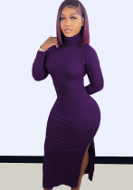 Women Spring Purple Sexy Turtleneck Full Sleeves Solid Slim Slit Long Dress
