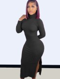 Women Spring Black Sexy Turtleneck Full Sleeves Solid Slim Slit Long Dress