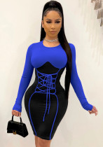Women Spring Blue Sexy O-Neck Full Sleeves Patchwork Lace Up Knee-Length Bodycon Dress