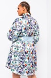Women Spring Printed Casual Turn-down Collar Full Sleeves Dollar Printed Fit and Flare Blouse Dress