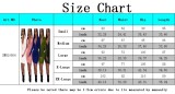 Women Spring Blue Sexy Turn-down Collar Full Sleeves Solid Zippers Mini Bodycon Dress