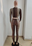 Women Spring Brown Casual O-Neck Long Sleeve Crop Top Striped Print Two Piece Pants Set