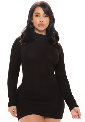 Women Autumn Black Modest Turtleneck Full Sleeves Solid Mini Sheath Sweater Dresses