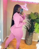 Women Spring Pink Sports Hooded Full Sleeves High Waist Solid Pockets Regular Two Piece Pants Set