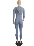 Women Spring Grey Sports Hooded Full Sleeves High Waist Solid Pockets Regular Two Piece Pants Set