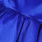 Women Spring Blue Romantic High Waist Zipper Fly Solid Mesh Midi Asymmetrical Skirts