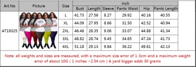 Women Summer Gray and blue Casual O-Neck Short Sleeves High Waist Letter Print Regular Plus Size Two Piece Pants Set