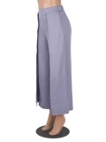 Women Autumn Grey Wide Leg Pants High Waist Elastic Waist Solid Ankle-Length Loose Pants