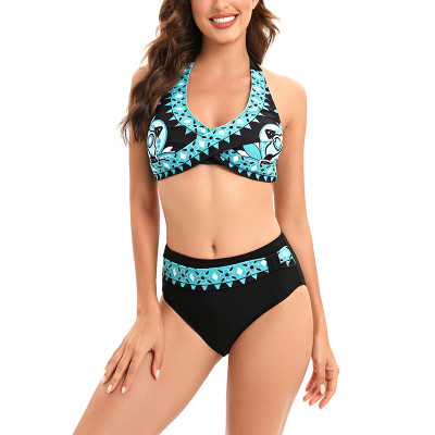 bikini split sexy swimsuit print swimsuit women