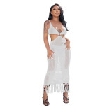 Women's Solid Color Casual Knit One Piece Fringe Beach Dress