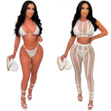 Women Sleeveless Character Mesh sleeveless crop top and pant inside hot drilling bikini set 4-piece swimsuit