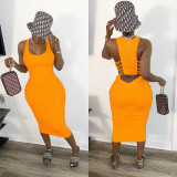 Women's Hot Sale Slim Fit Sexy Back Zipper Pleated Dress