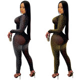 women's clothing fashion sexy tight-fitting mesh see-through long-sleeved beaded two-piece pants suit women