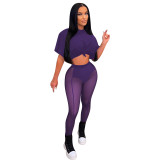 Women Fashion Sexy See Through Mesh Top And Pant Two-Piece Set