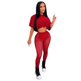 Women Fashion Sexy See Through Mesh Top And Pant Two-Piece Set