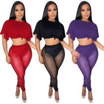 Women Fashion Sexy See Through Mesh Top And Pant Two-Piece Set