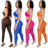 Fashion Sexy Tight Tube Top Backless Mesh And See-Through Pants Two Piece Set