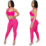 Fashion Sexy Tight Tube Top Backless Mesh And See-Through Pants Two Piece Set