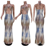 Women's Sexy Straps Tube Bodycon Print Long Dress