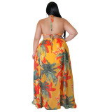 Plus Size Women's Summer Sexy Strapless Backless Print Dress