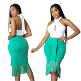 Women Halter Neck crop top and Bodycon tassel dress two piece set