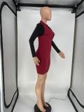 Womens Sexy Patchwork Contrast Bodycon Dress Long Sleeve