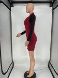 Womens Sexy Patchwork Contrast Bodycon Dress Long Sleeve