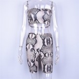 Fall/Winter Snake Print Strapless Straight Slim Shorts Casual Suit Women