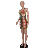 Spring/Summer print mesh halter Straps hollow out club dress
