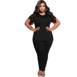 Plus Size Women Solid Casual Top And Pant Two Piece Set