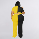 Large size women's patchwork contrast color fashion casual two-piece pants set