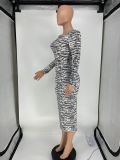 Women's Sexy Printed Long Sleeve Slim Midi Dress