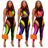 Women's Suit Fashion Multicolor Patchwork Mesh Two Piece Set