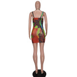 Spring/Summer print mesh halter Straps hollow out club dress