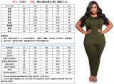 Plus Size Women Solid Casual Top And Pant Two Piece Set