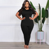 Plus Size Women Solid Casual Top And Pant Two Piece Set