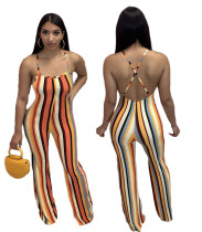 Women's Fashion Striped Low Back Flared Back Suspenders