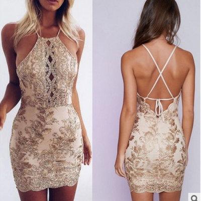 Embroidered lace cutout Patchwork Sexy Low Back Bodycon Women Dress