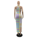 Ladies Positioning Multi-Color Print Dress