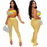 Women's Hot Summer Sexy Nightclub Feather Top and Pants Two-Piece Set